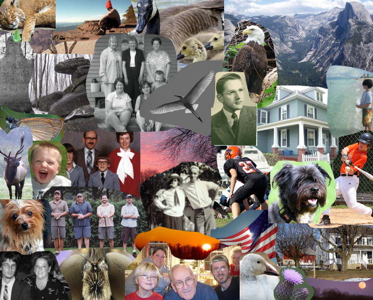 Kreider Family Photo Collage