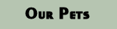 Pets