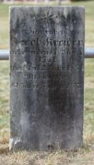 DSC05175a
