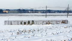 DSC05343a