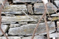 DSC05369a
