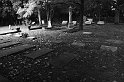 080721a