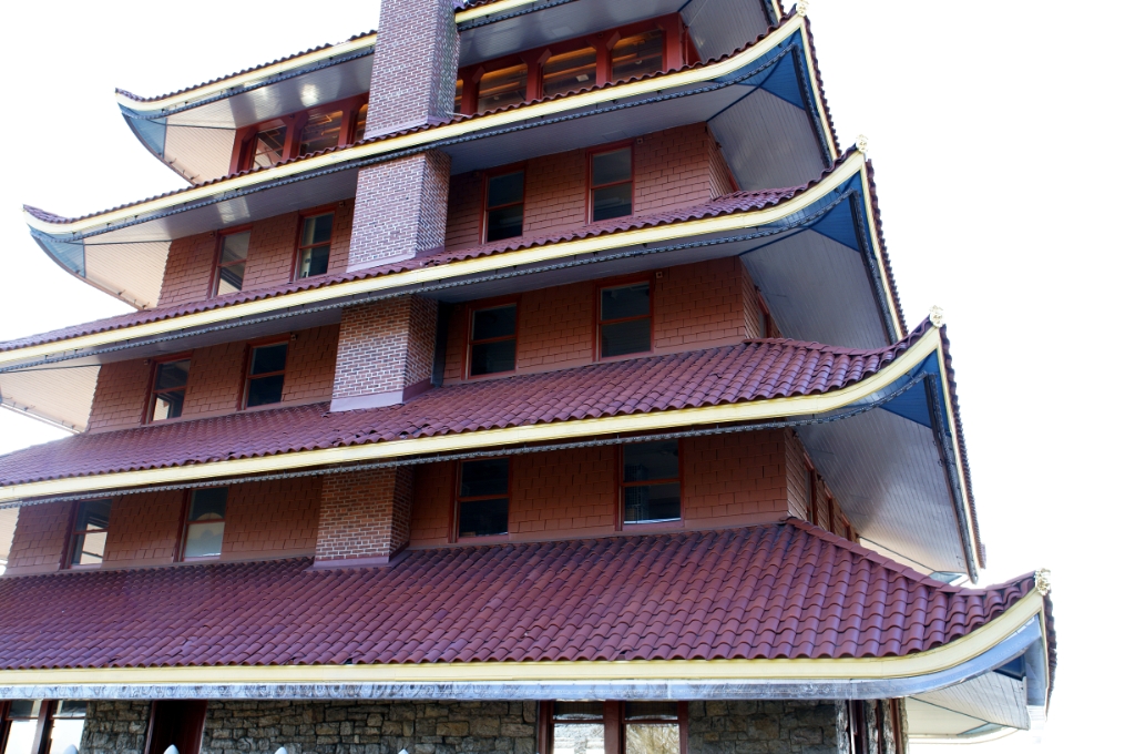 DSC00764a