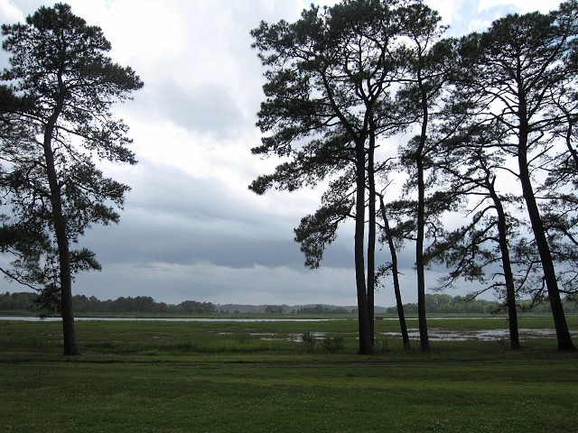 OldLanding