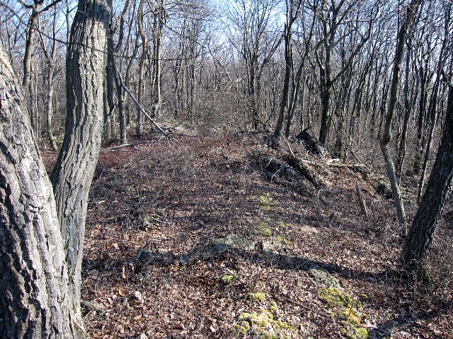 120205126a