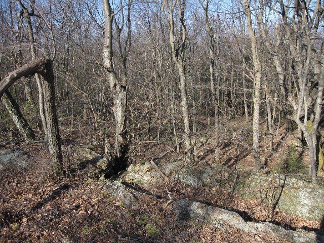 120205127
